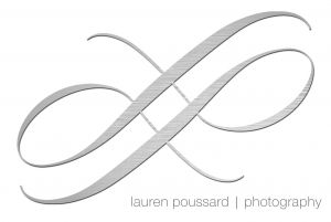 LP LOGO aluminium-web.jpg